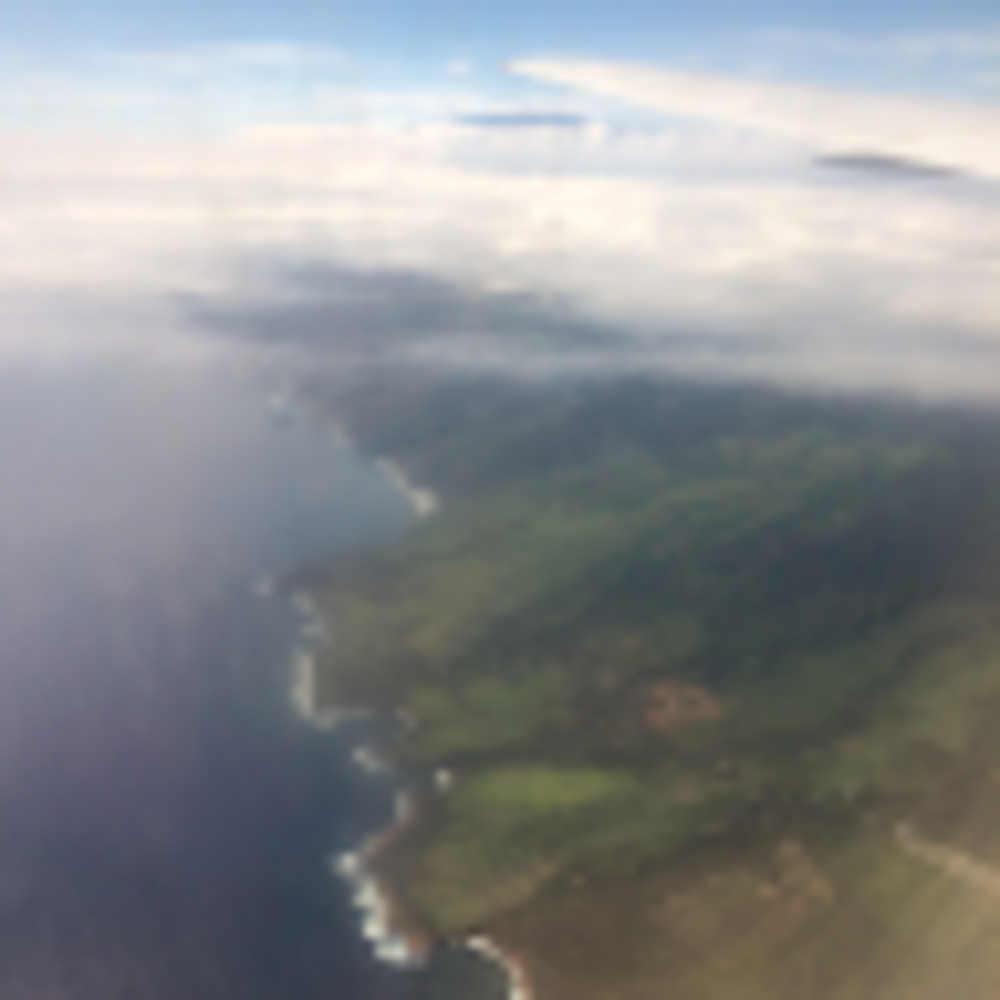 Meet your Posher, Brody